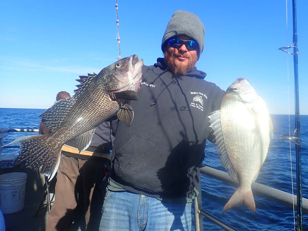 Dishing Up Sea Bass: With A Slab Side Of Porgy - The Fisherman