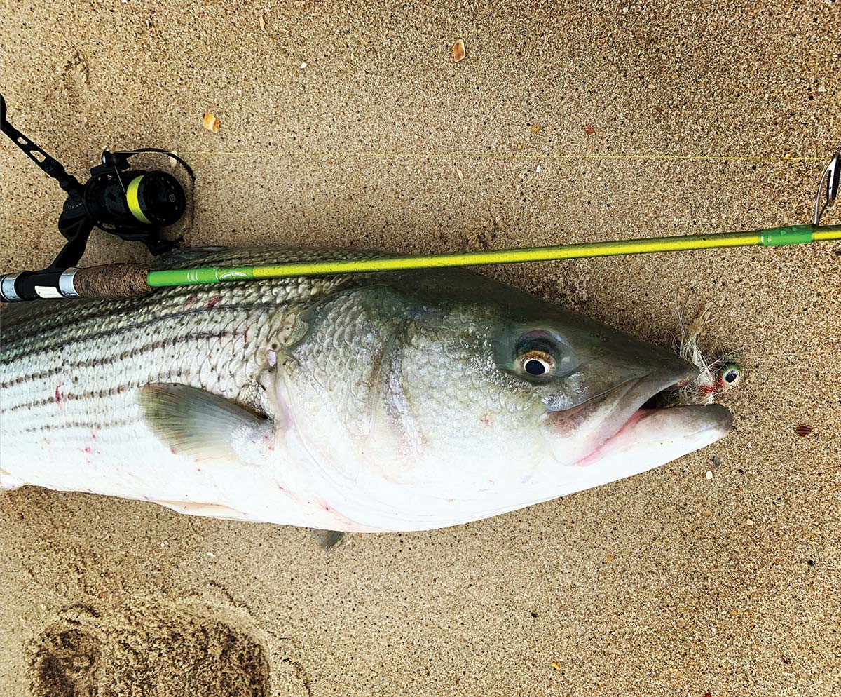 Snap It” On The Beach: How To Snap-Jigging From Shore - The Fisherman