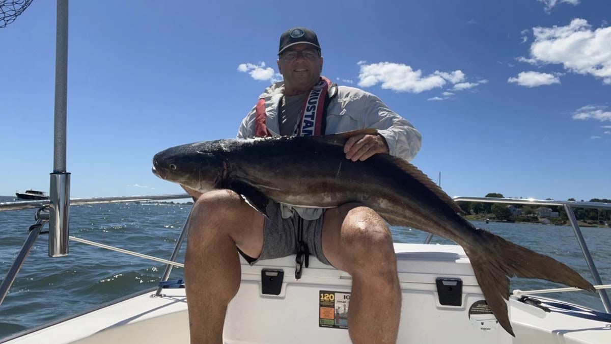 Unofficial CT State Record Cobia Landed In Long Island Sound! The