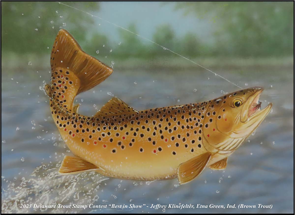 Delaware Waterfowl & Trout Stamp Art Winners Chosen The Fisherman