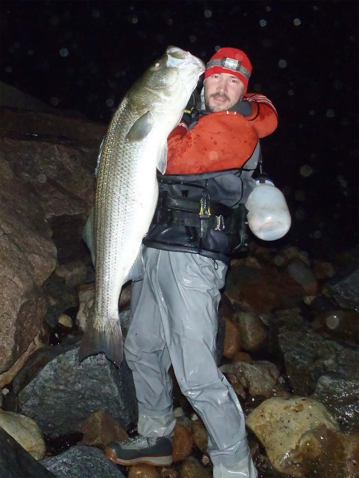 51-inch