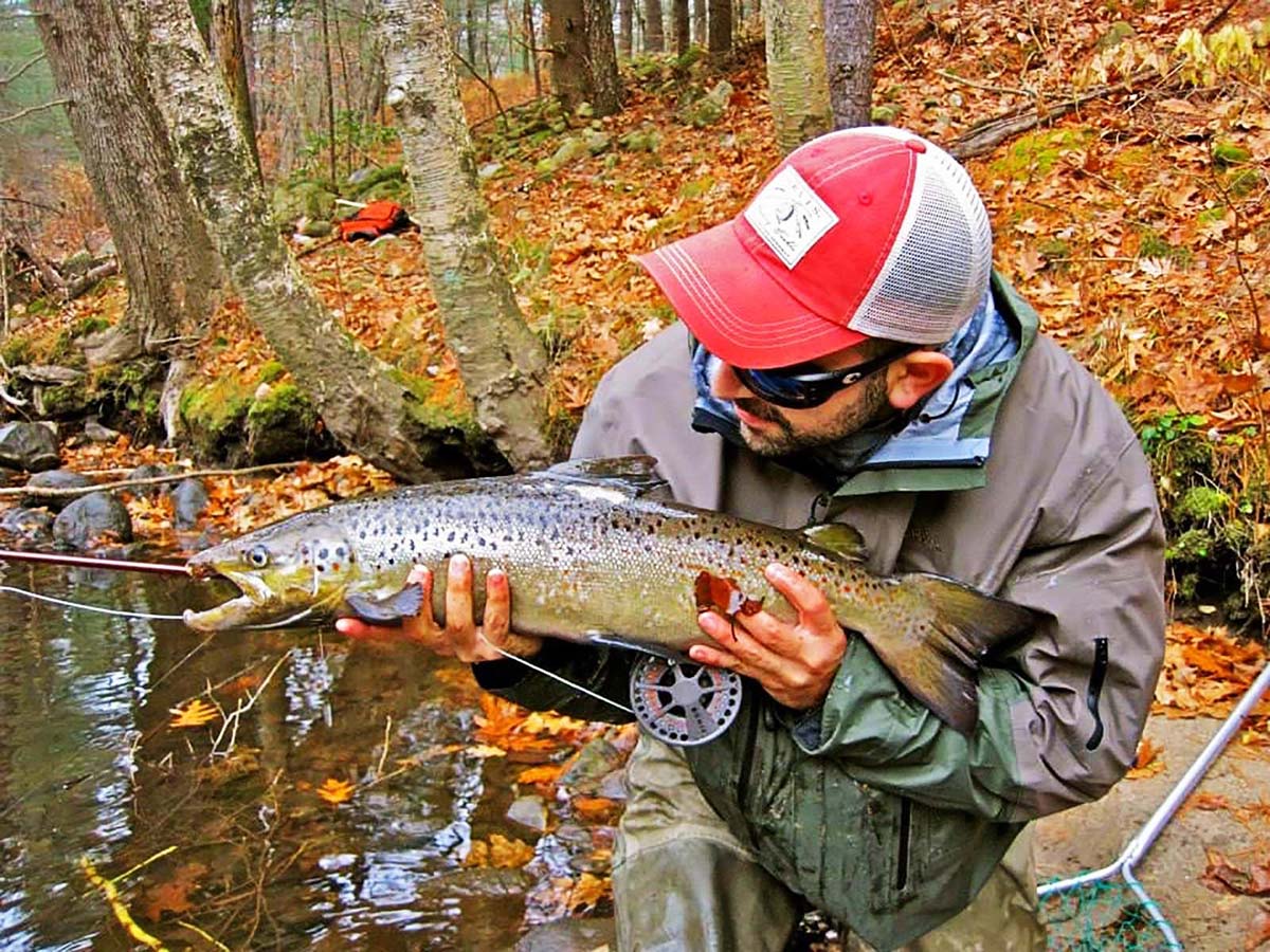 5 Steps to Shortening your Fly Fishing Learning Curve