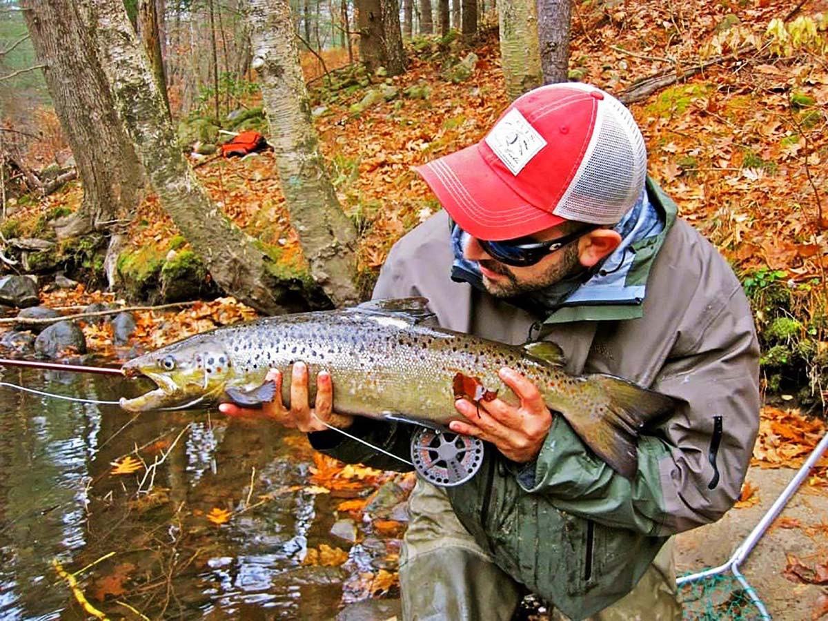 Stalking Salmon: Connecticut's Broodstock Atlantics - The Fisherman