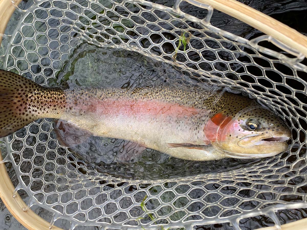 Trout Busters - 1/8 oz.