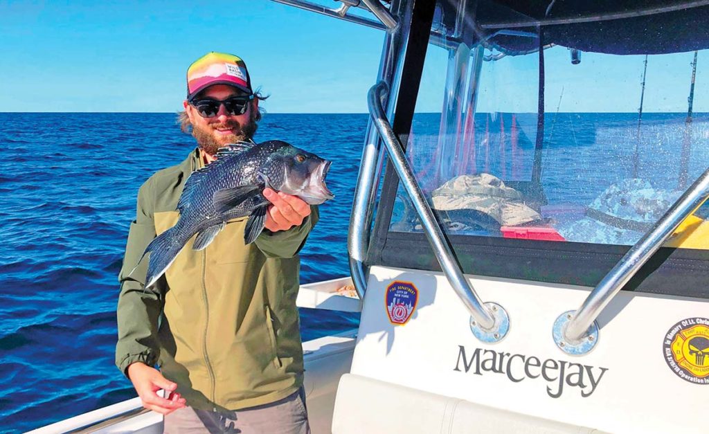 sea-bass