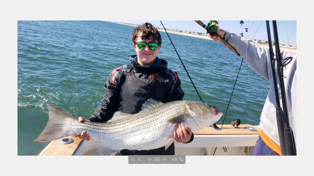 PHOTO GALLERY THE FALL STRIPER RUN The Fisherman