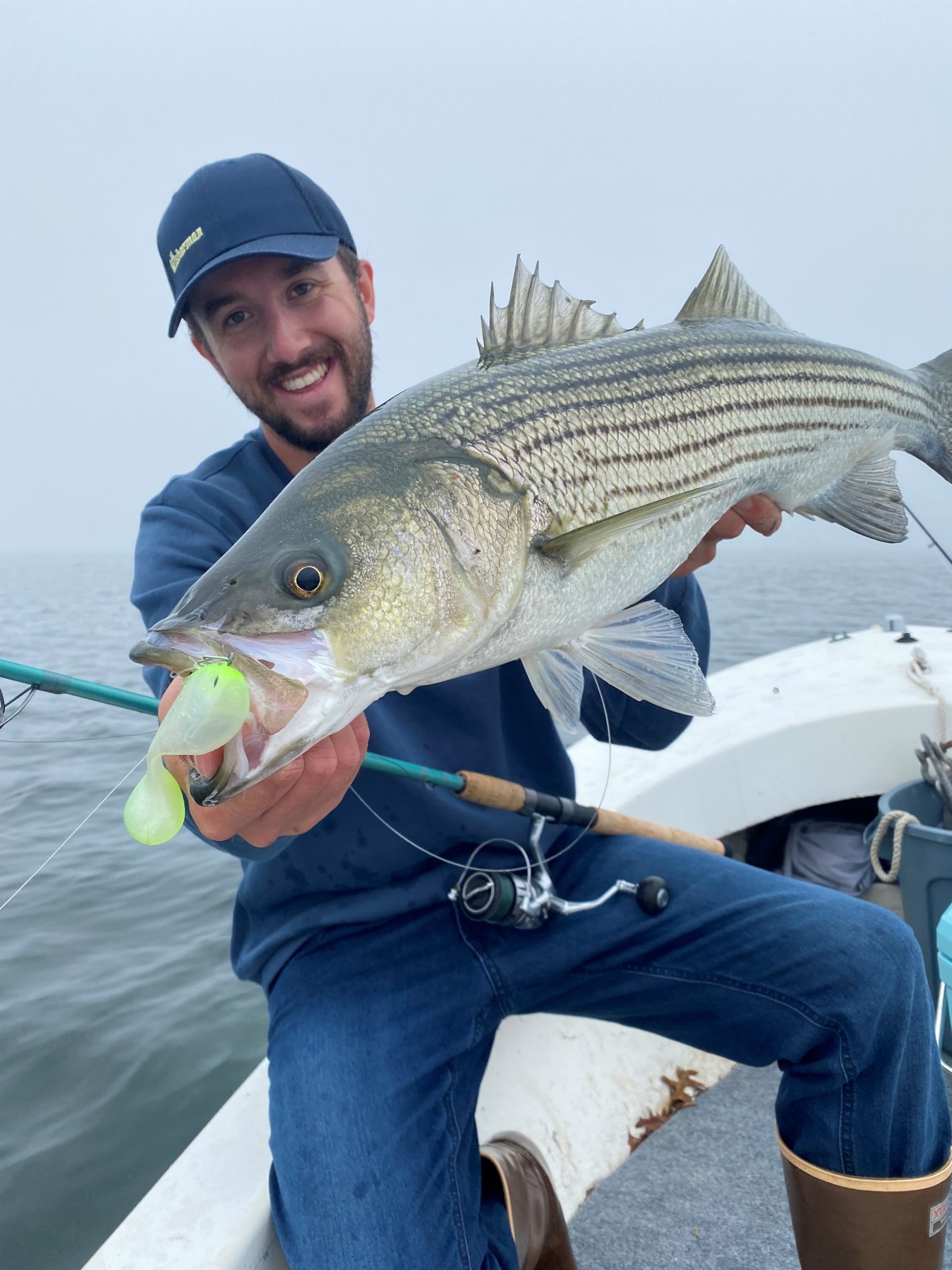 INSHORE: A LATE FALL STRIPER SELECTION - The Fisherman