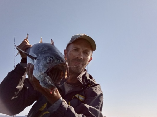 PRODUCT SPOTLIGHT: LIVETARGET SLOW-ROLL MULLET - The Fisherman
