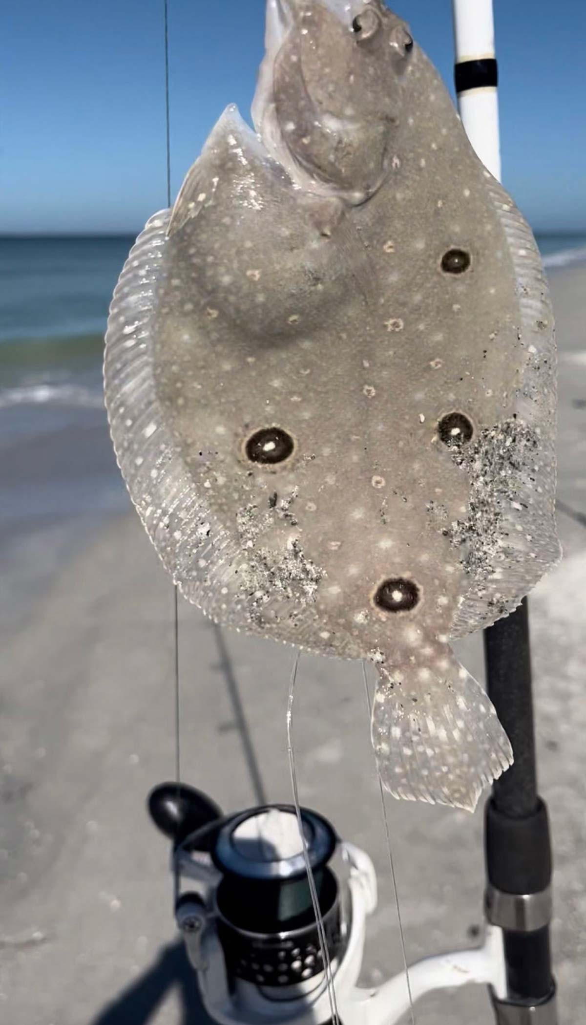 Flounder Fun Heats Up With Summer - Georgia Outdoor News