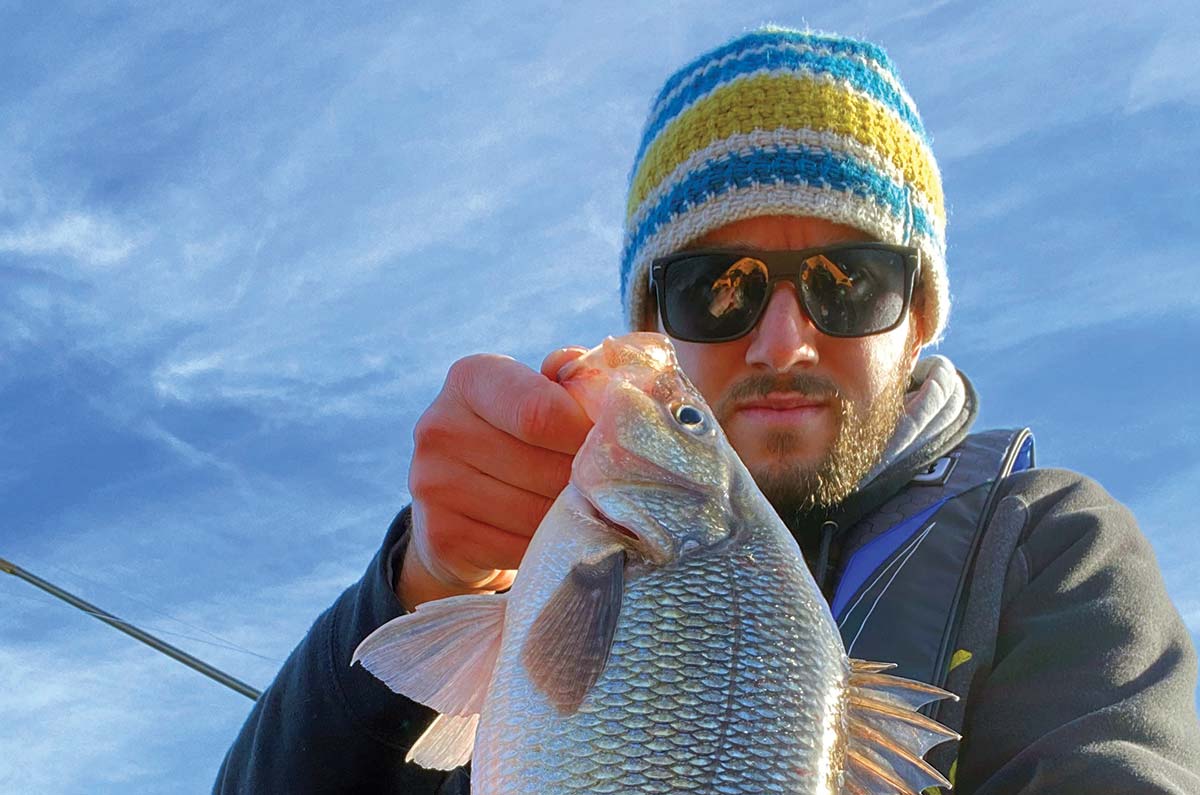 Winter White Perchin': 4 Things To Remember - The Fisherman