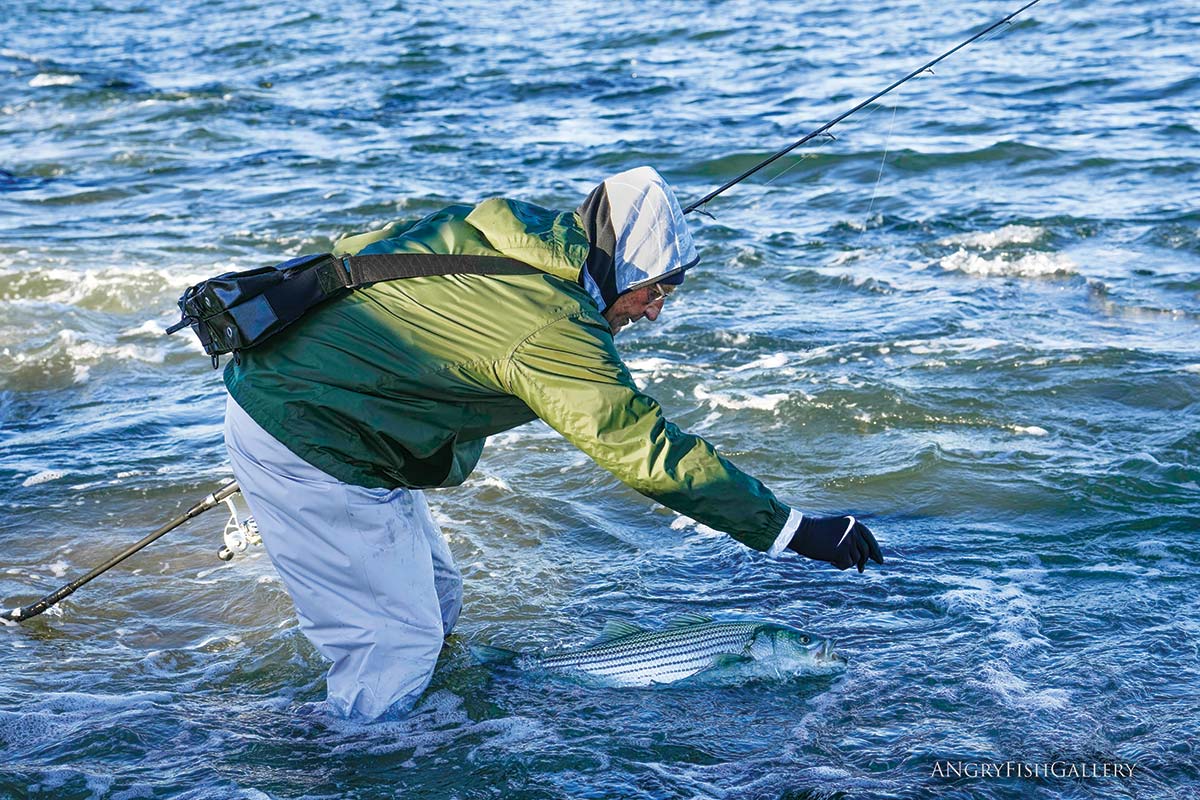 Fly Fishing for Trout with Harry Murray Digital Download