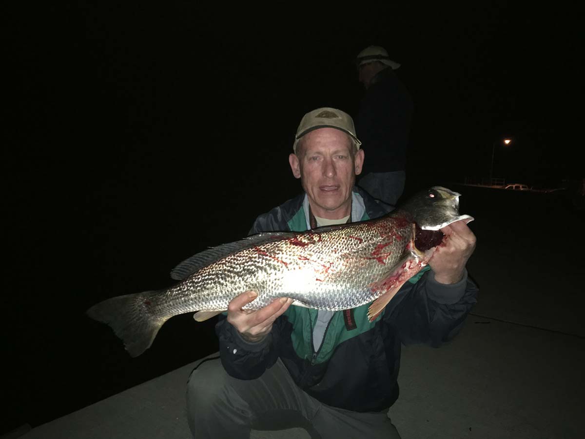 Catfish hitting in summer haunts - Texas Hunting & Fishing