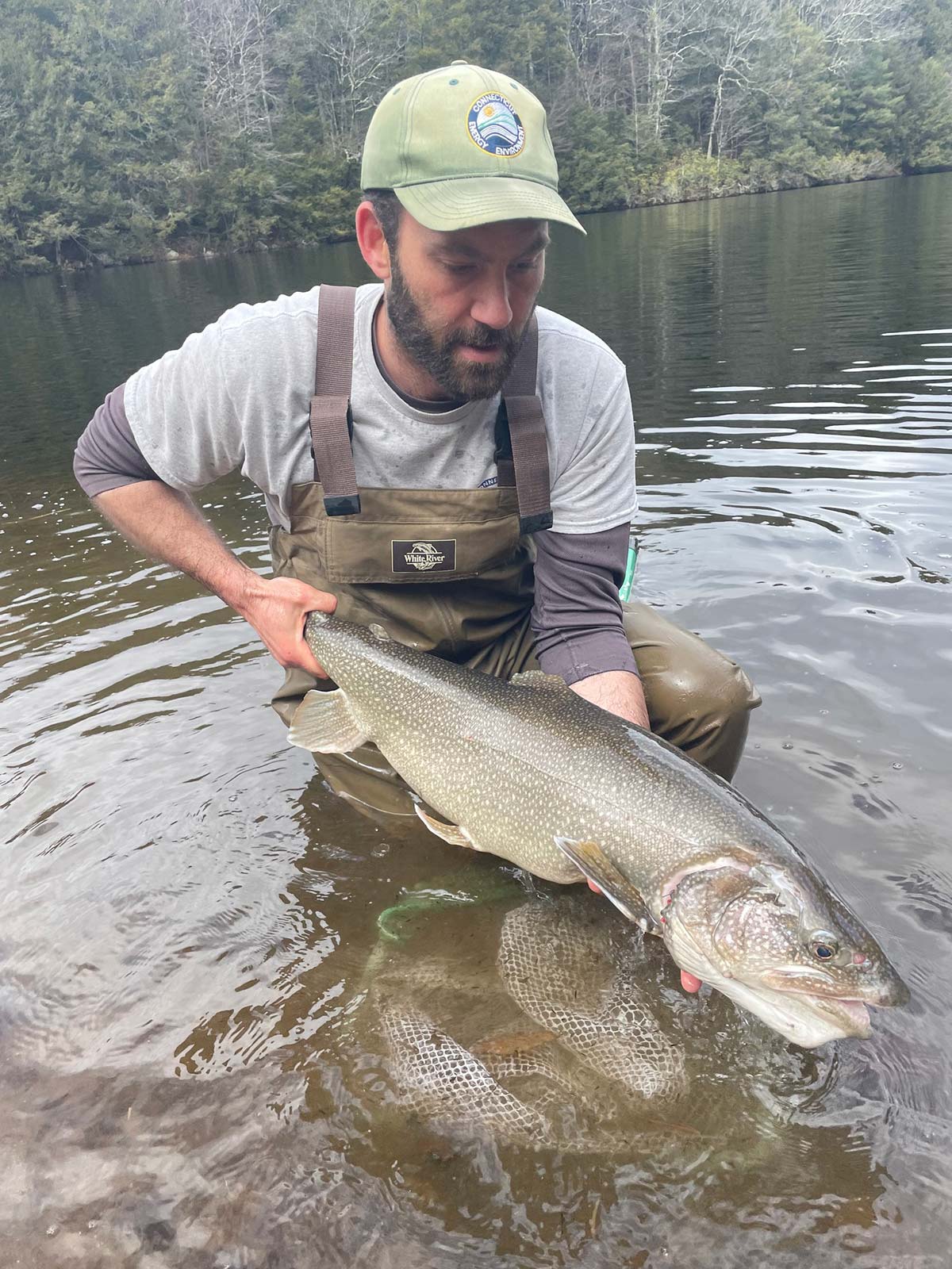 Connecticut Stocks Trophy Lake Trout! The Fisherman
