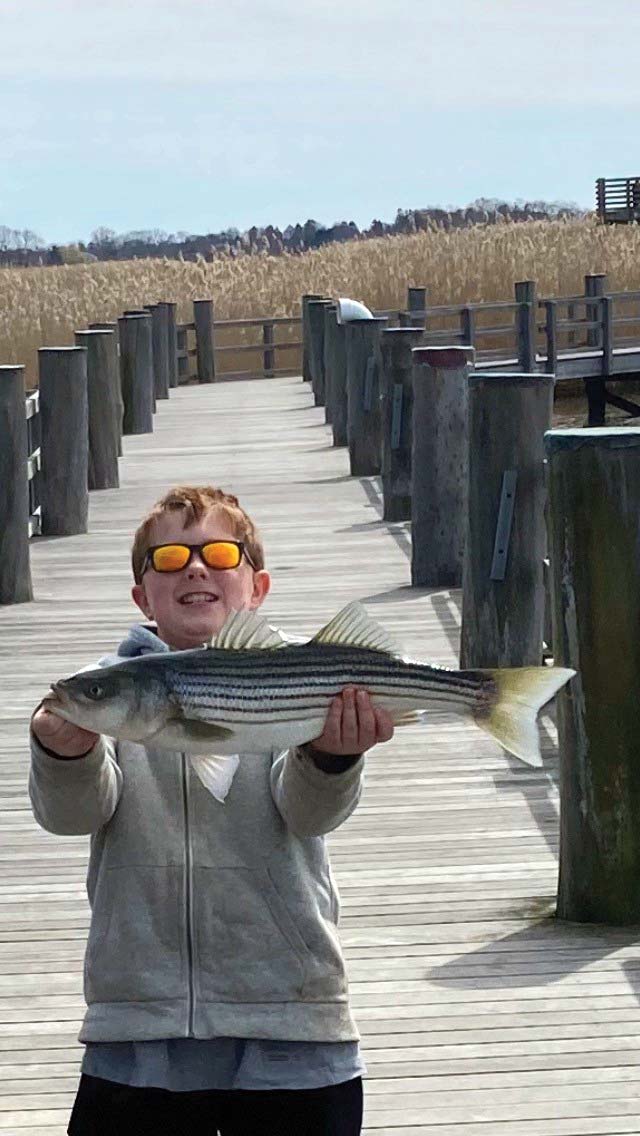 joey