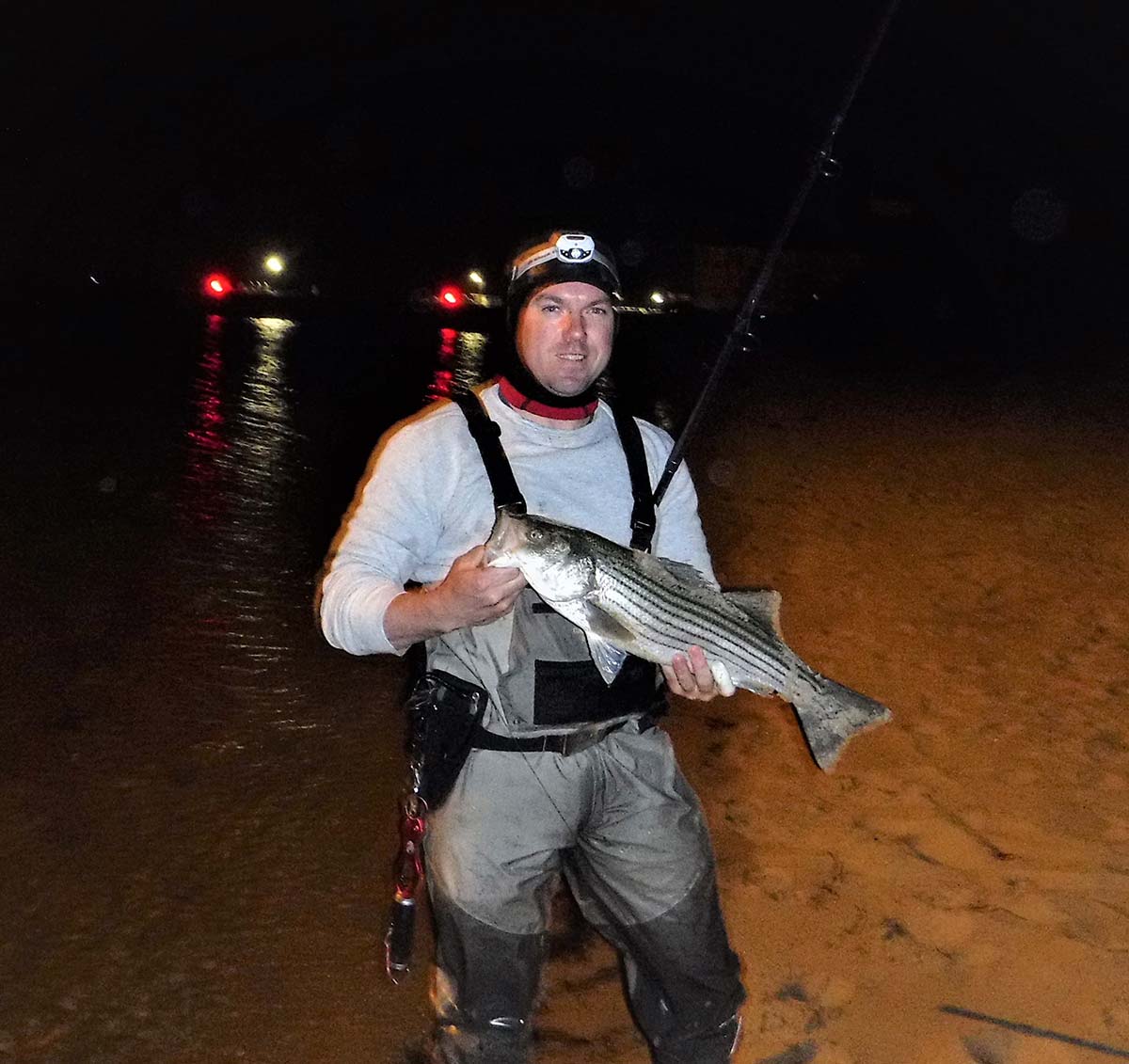 Surf: Under The Bridge - The Fisherman