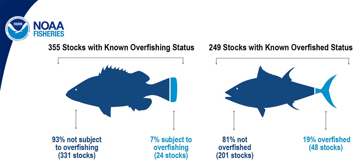 NOAA: U.S. Marine Fish Stocks Show Improvements In 2022 - The Fisherman