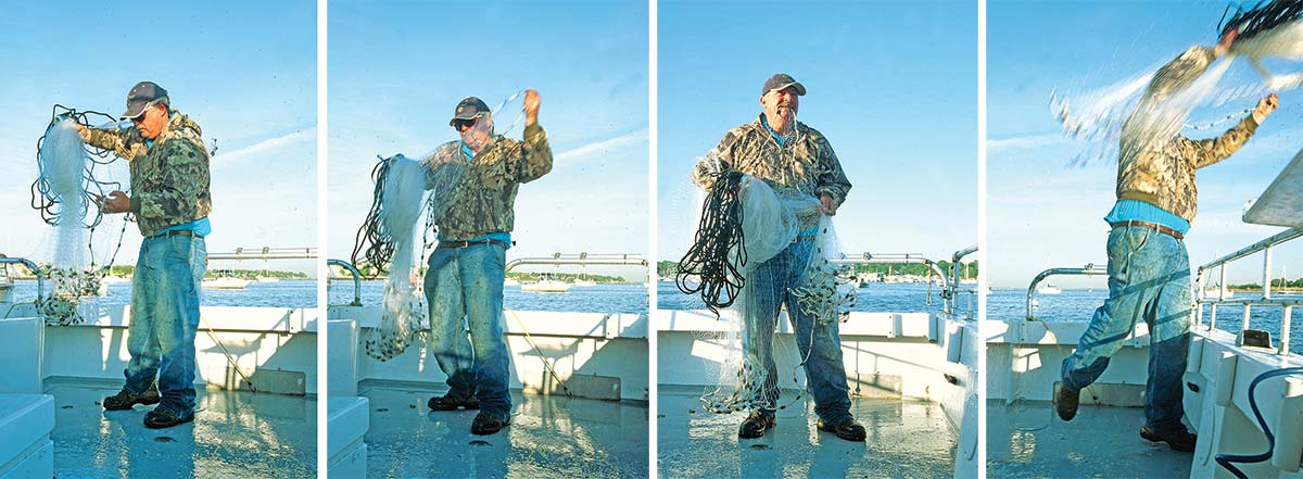 Menhaden Matters: Live Bait Striper Fishing - The Fisherman