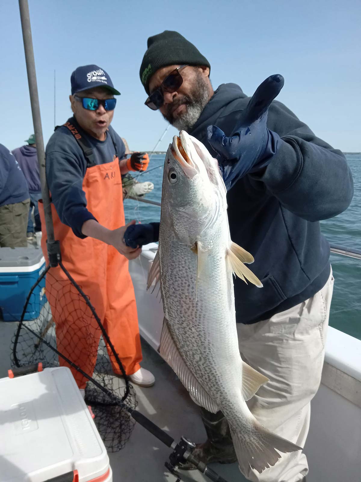 Riding The Weakfish Wave - The Fisherman