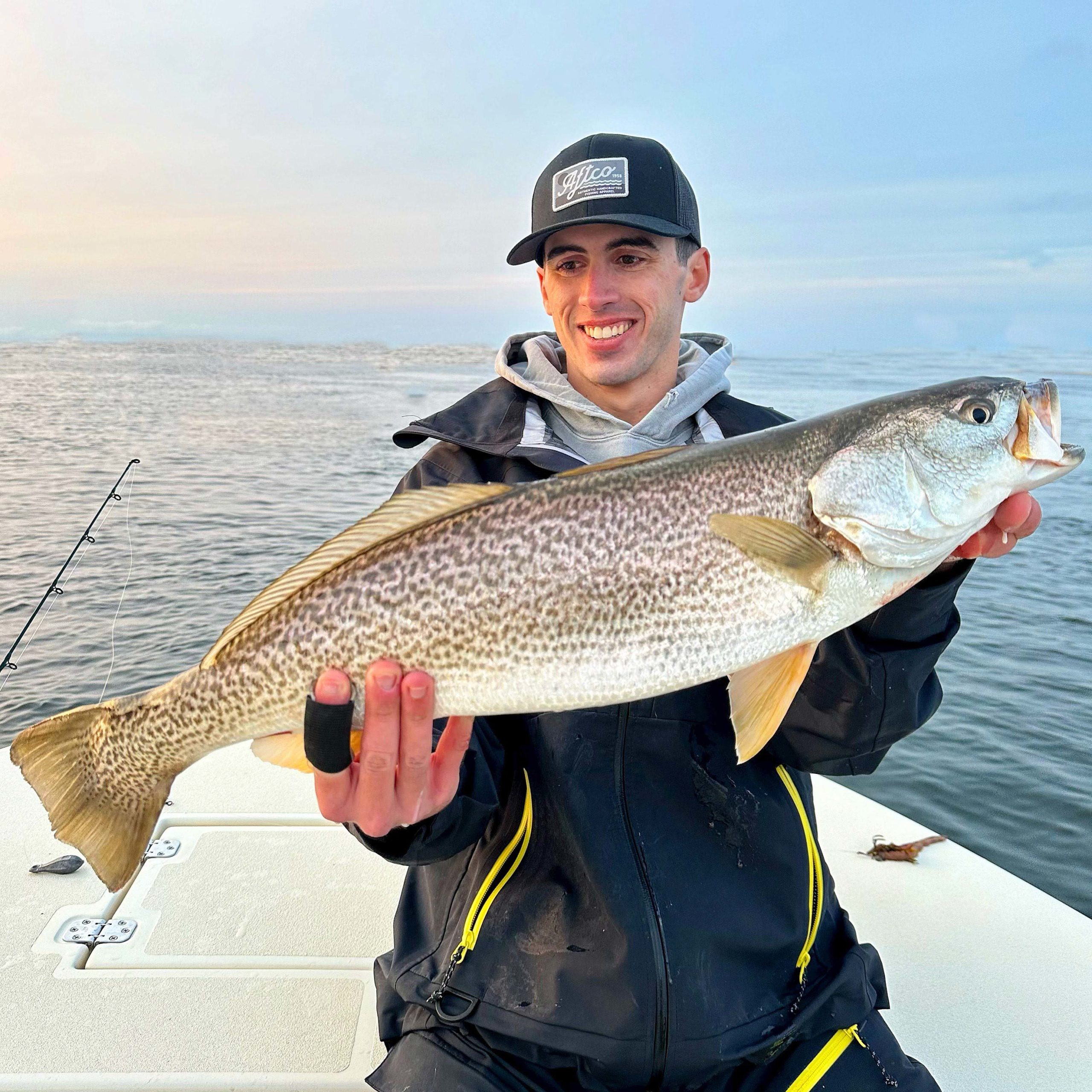paddy