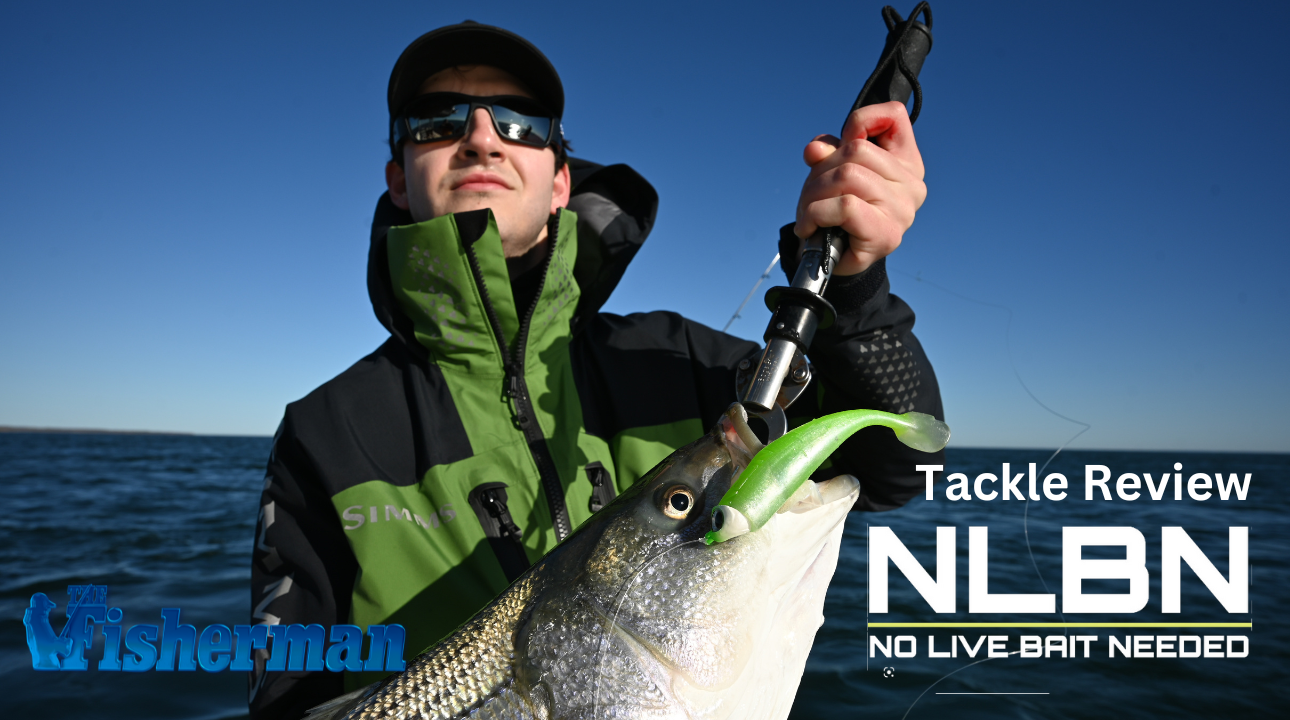 Video Tackle Review - NLBN - The Fisherman