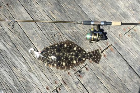 dock-fluke