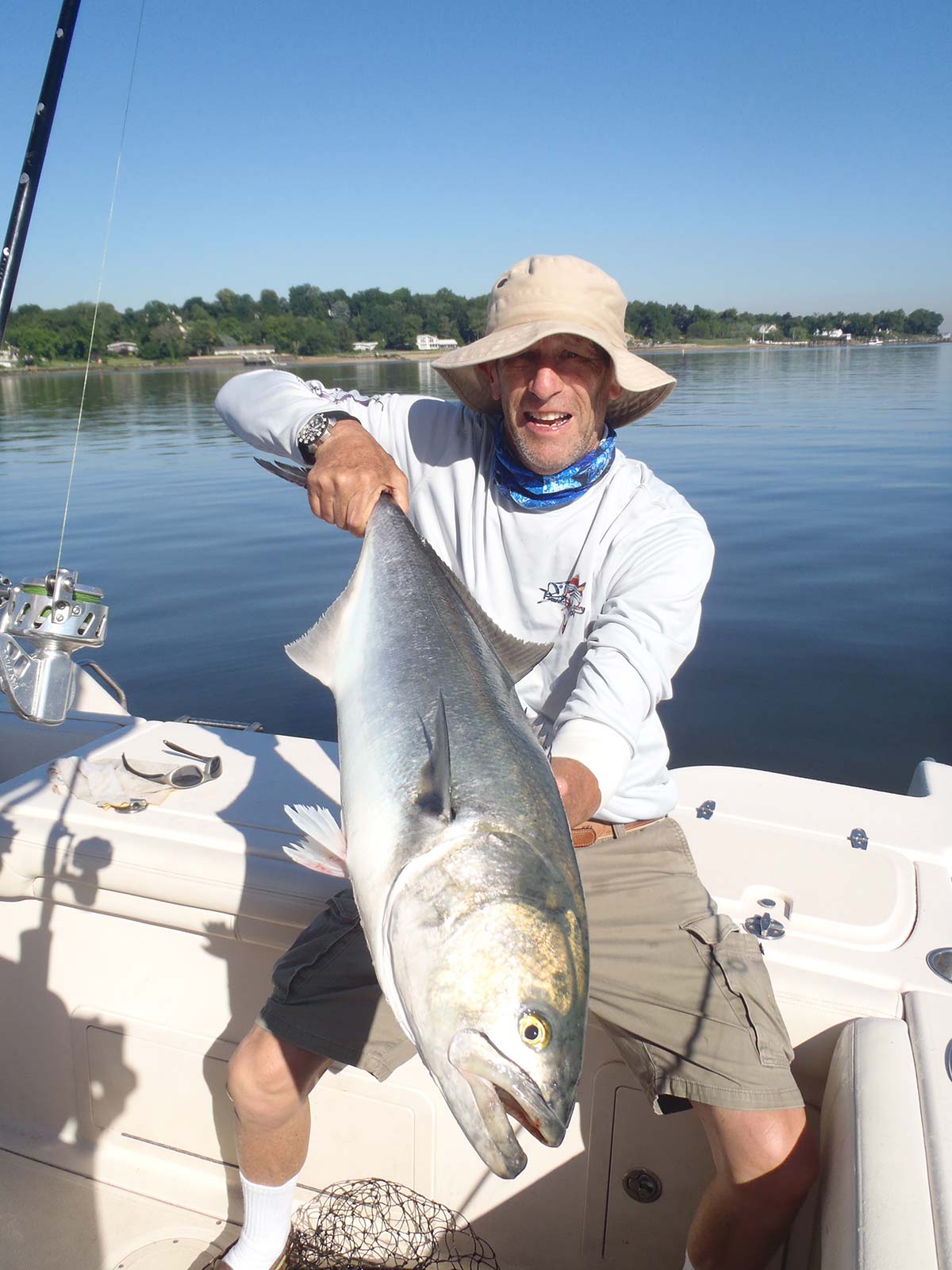 North Shore Harbors: Daisy Chain Blues - The Fisherman