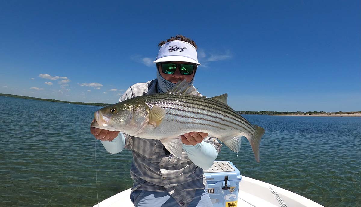Flats Bass: Stripers By Sight - The Fisherman