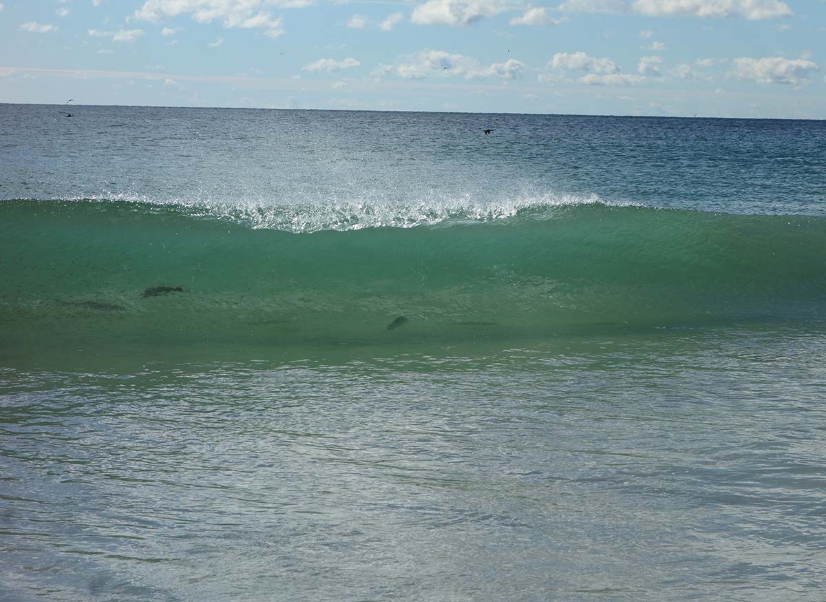 beaches