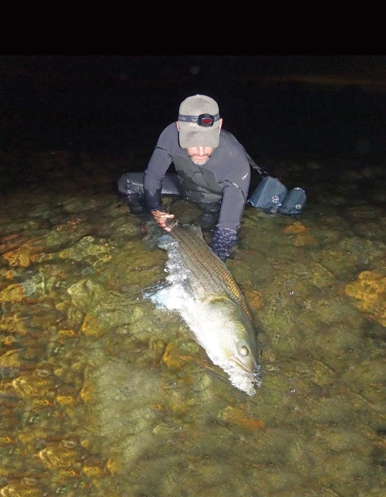 summer