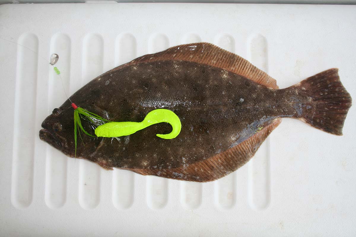 A Delaware Bay Green Machine