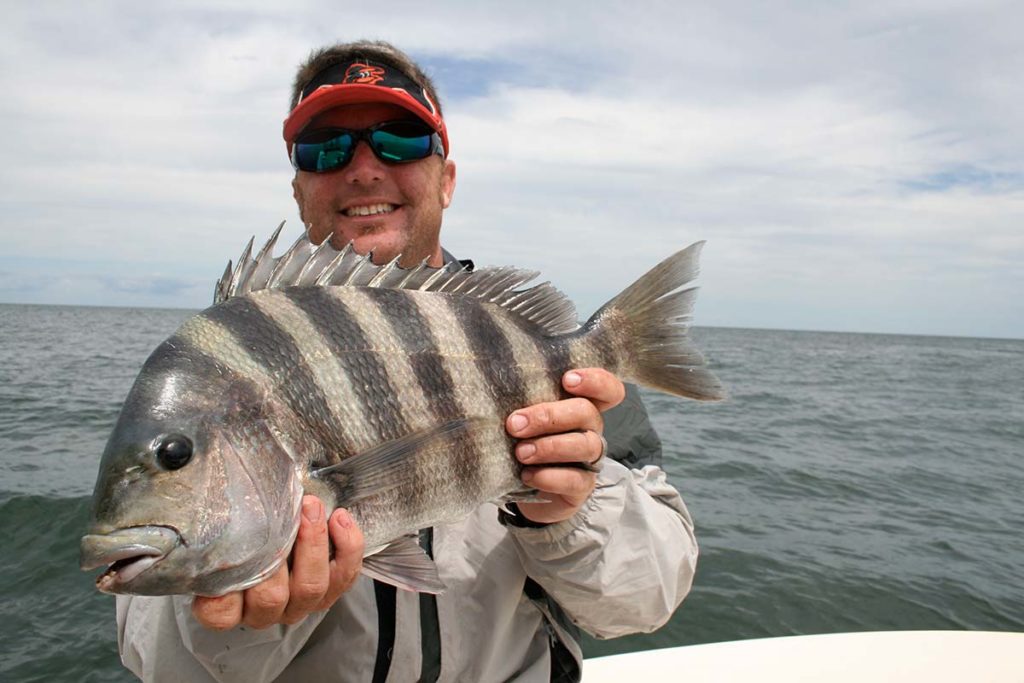 SHEEPSHEAD