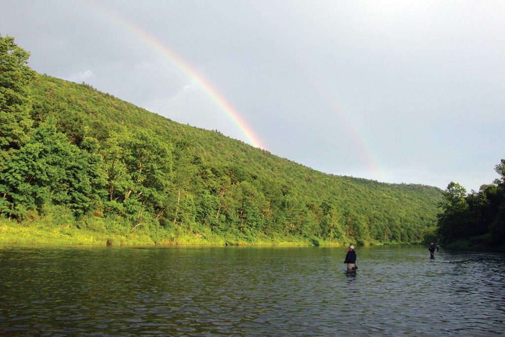 RAINBOWS