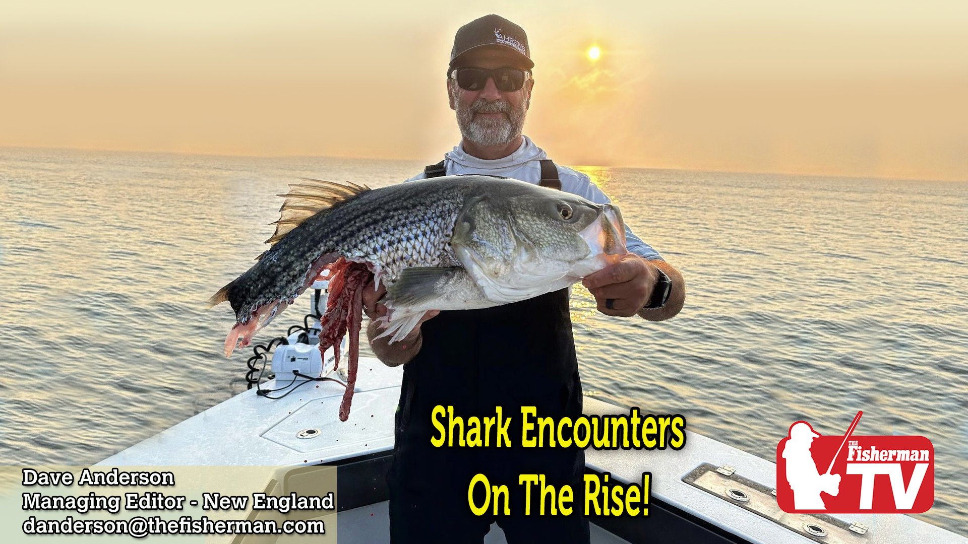 New England Video Fishing Forecast August 3, 2023 The Fisherman