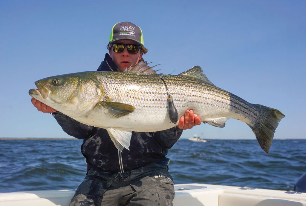 Striped Bass Study Archives - The Fisherman