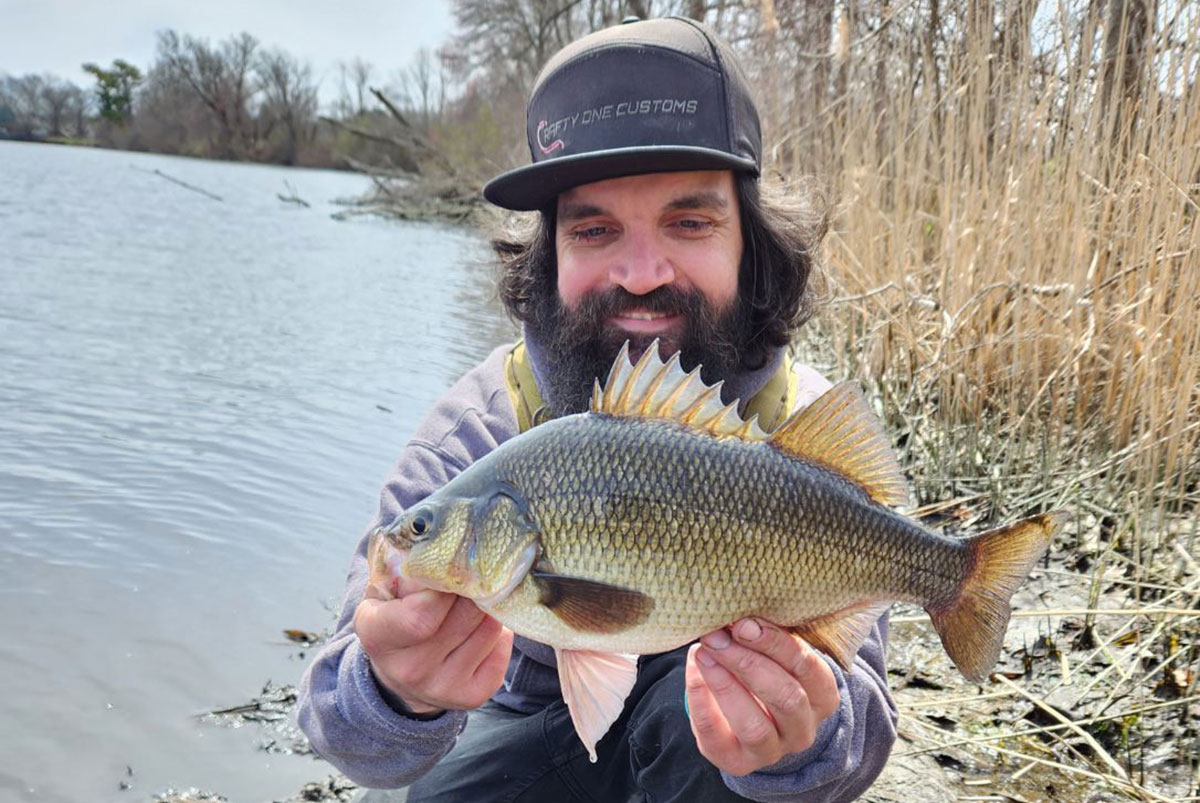 Perch Battles: The Wicked Whites Of Winter - The Fisherman