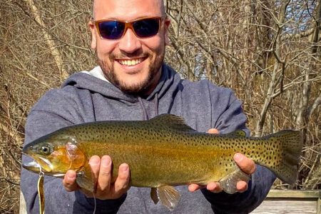 Freshwater: Native Brook Trout - The Fisherman
