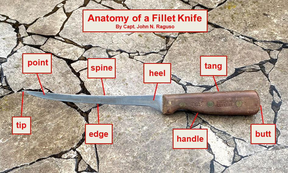 knife-anatomy