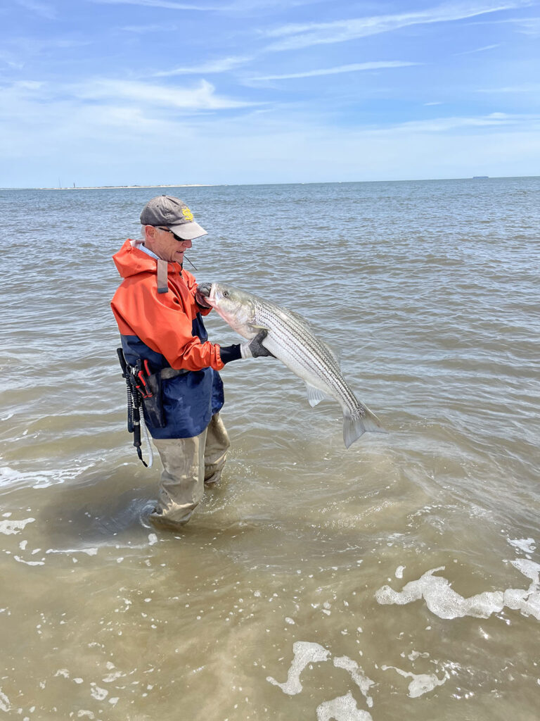 stripers