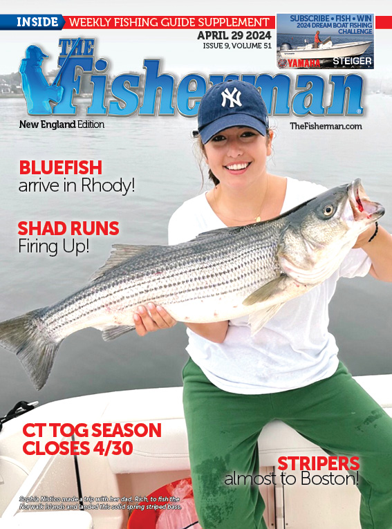 New England Current Issue
