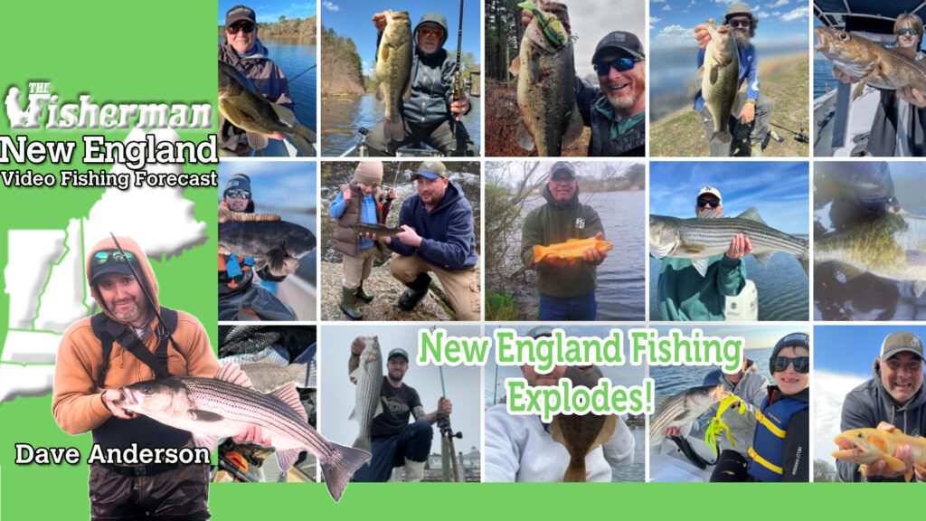 The Fisherman - The Ultimate Fishing Authority in The Northeast