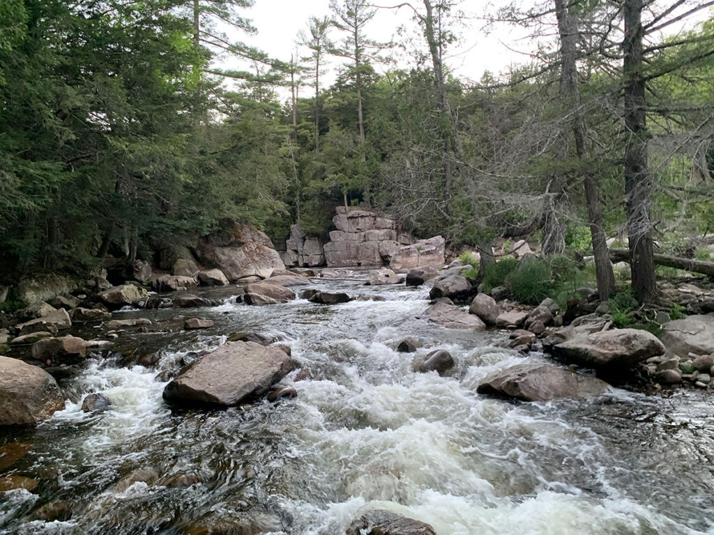 freshwater