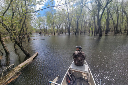 flooded