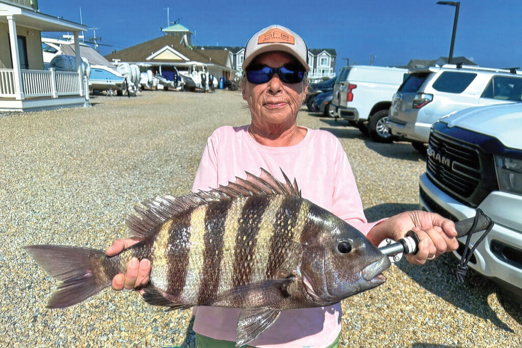 SHEEPSHEAD