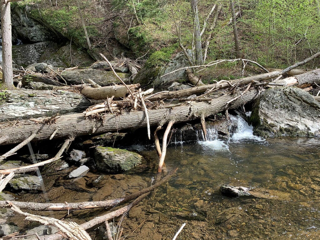 fallen-lumber