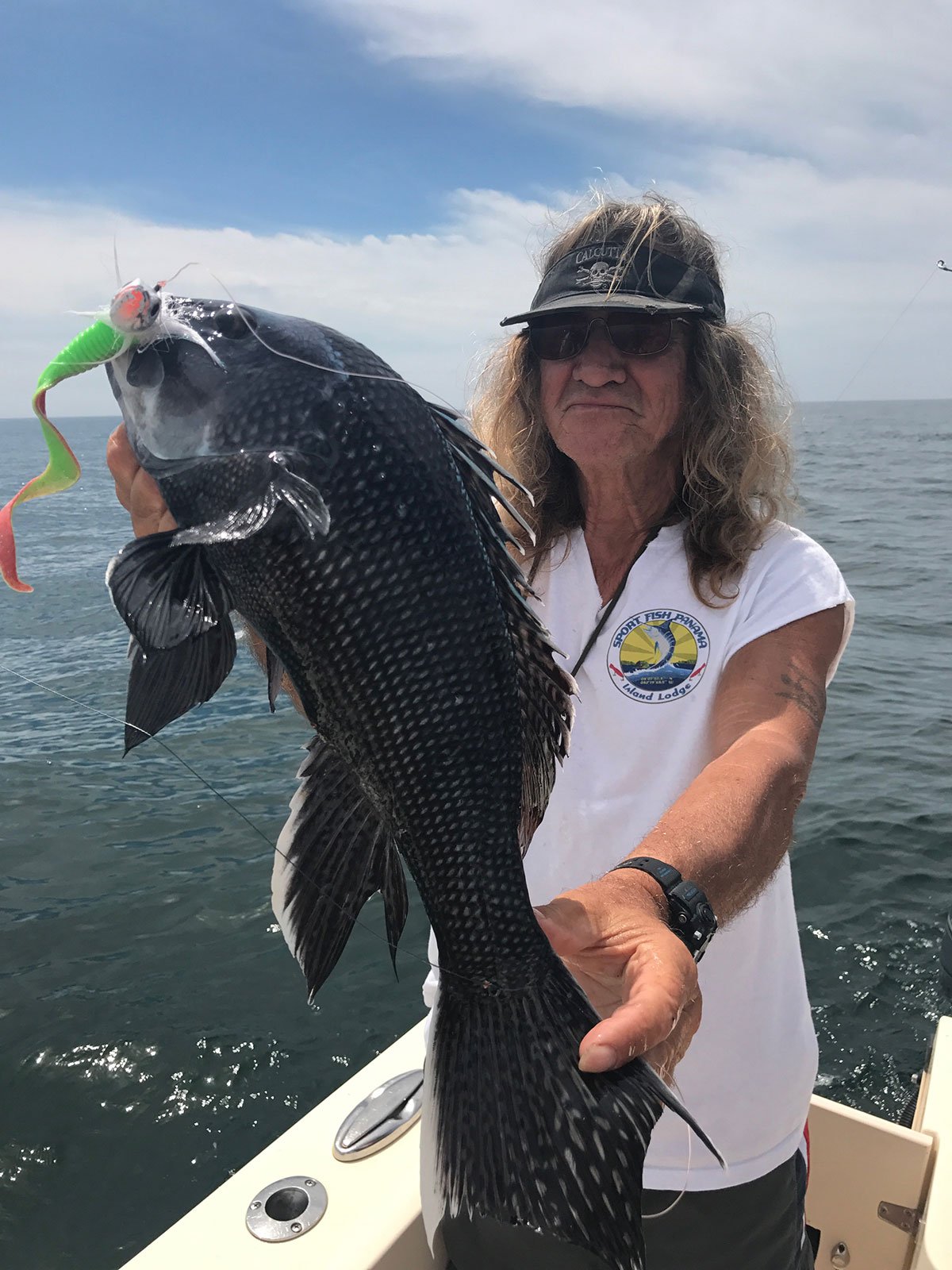 sea-bass
