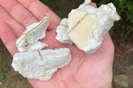 debris