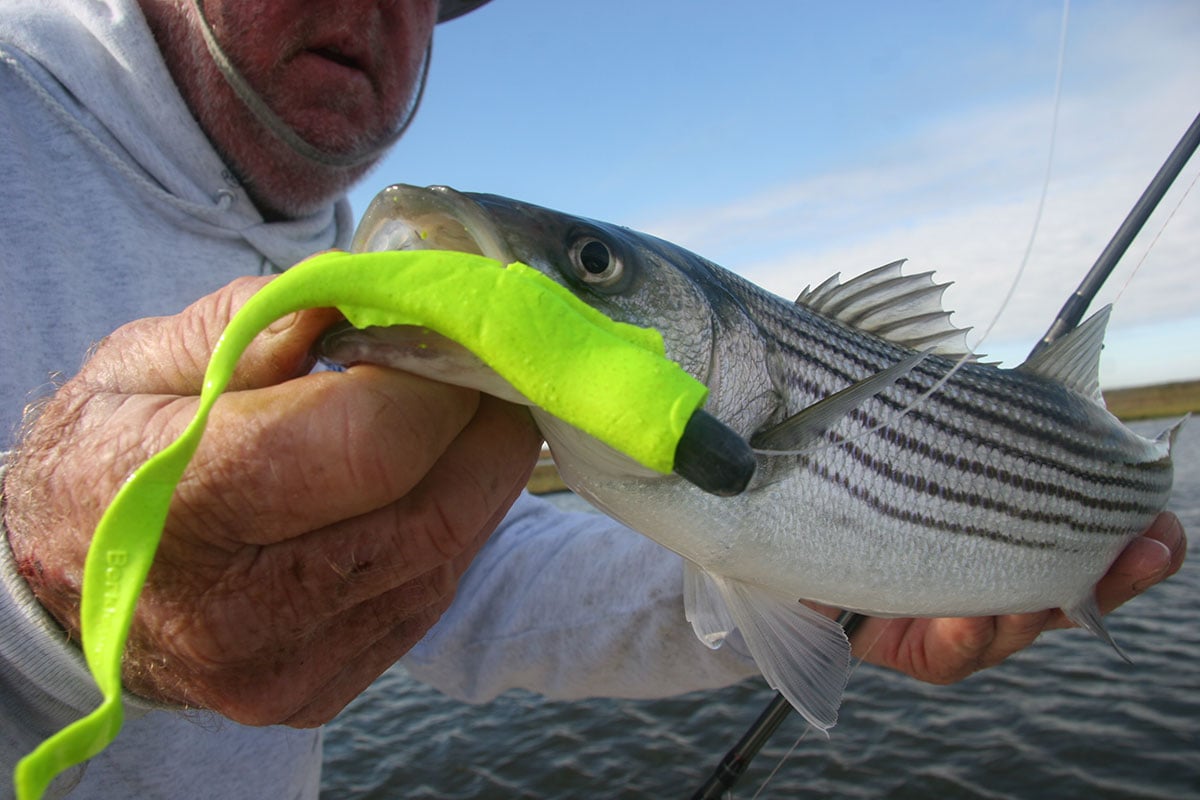 Trolling Best Fishing Pole For Striped Bass Striper Trolling Kit