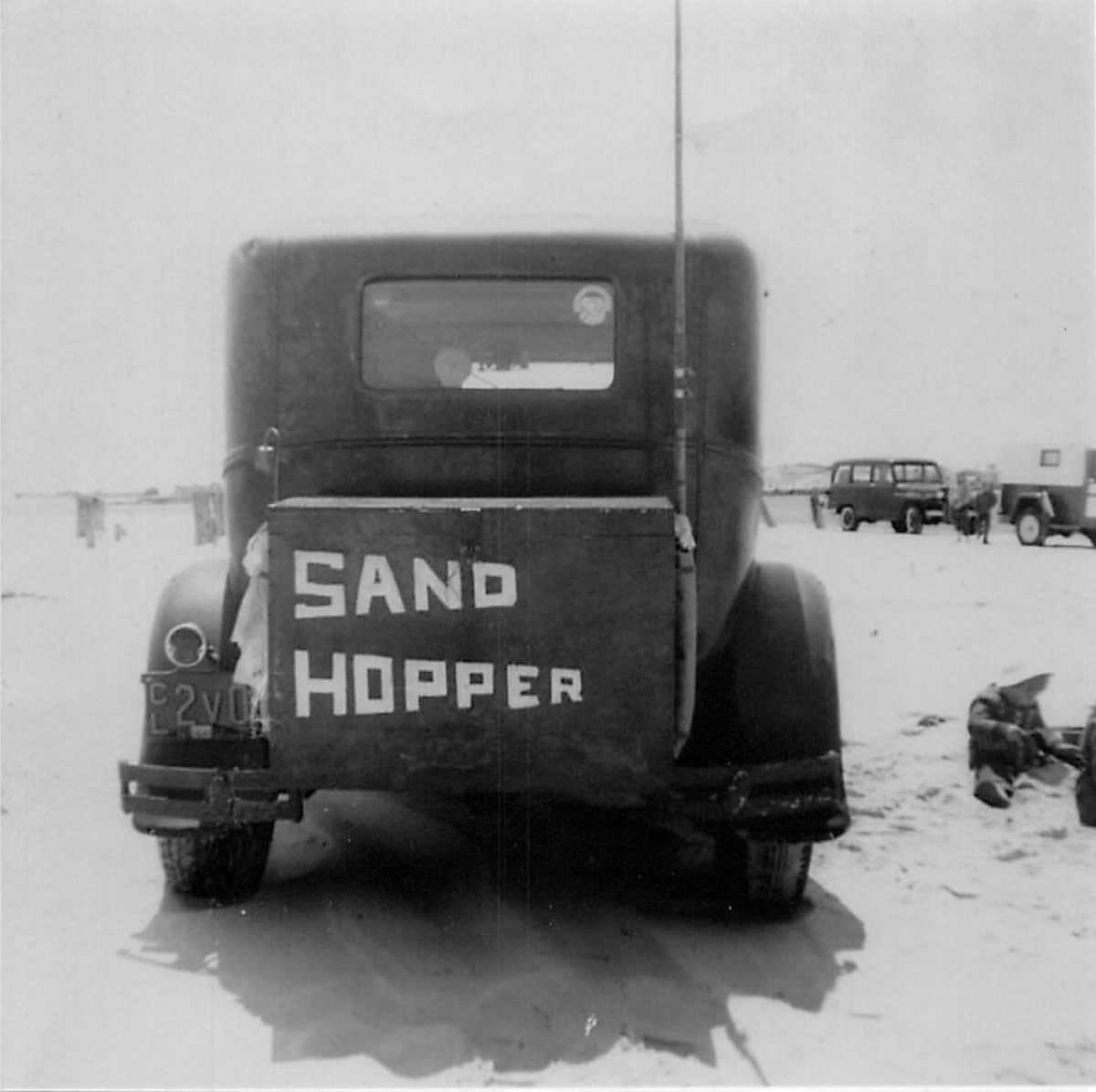 sand-hopper