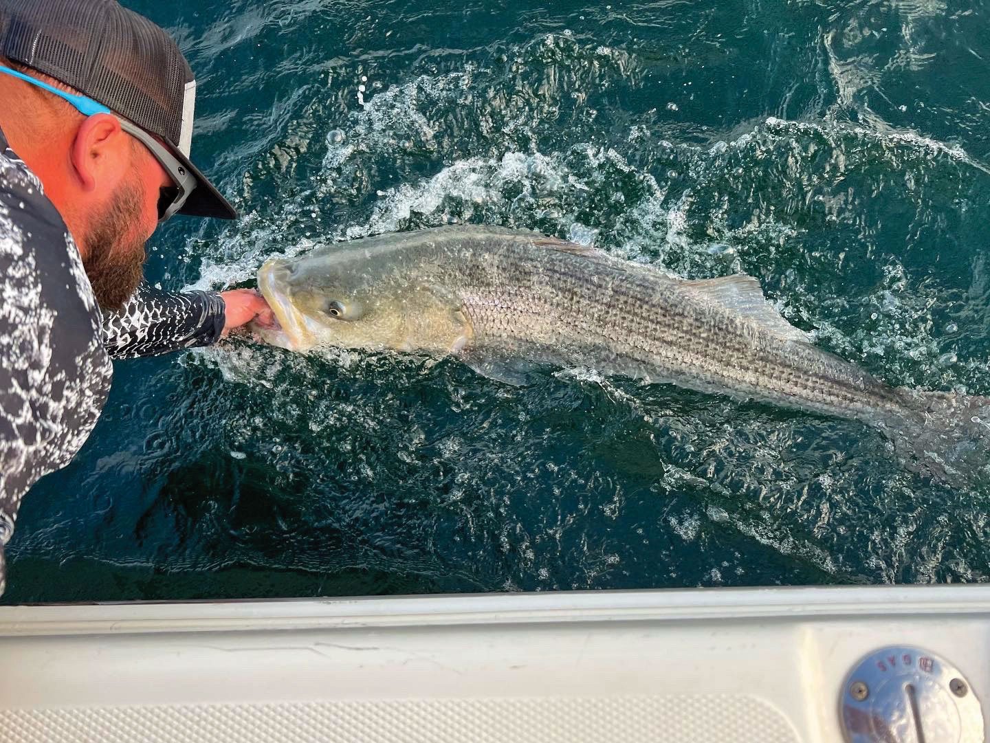 Catch & Release The Right Way The Fisherman