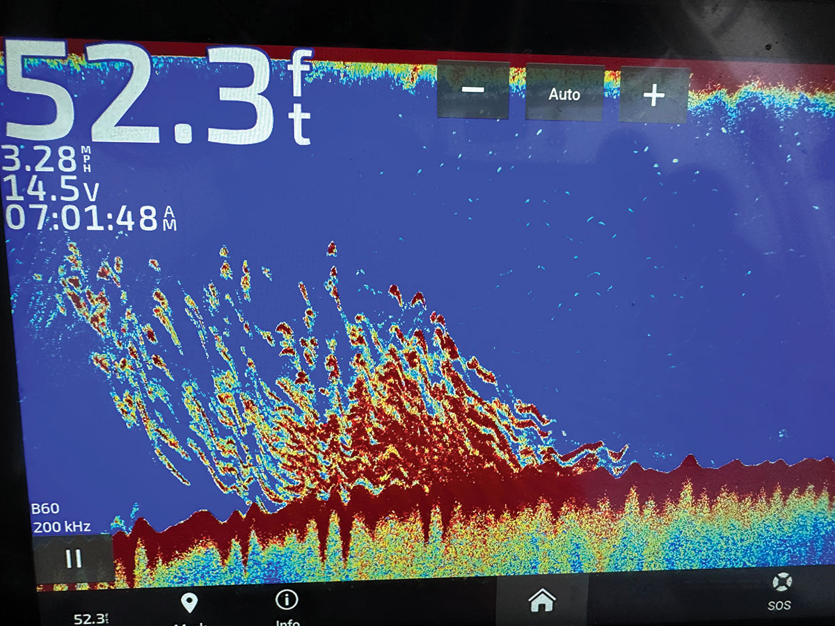 fishfinder